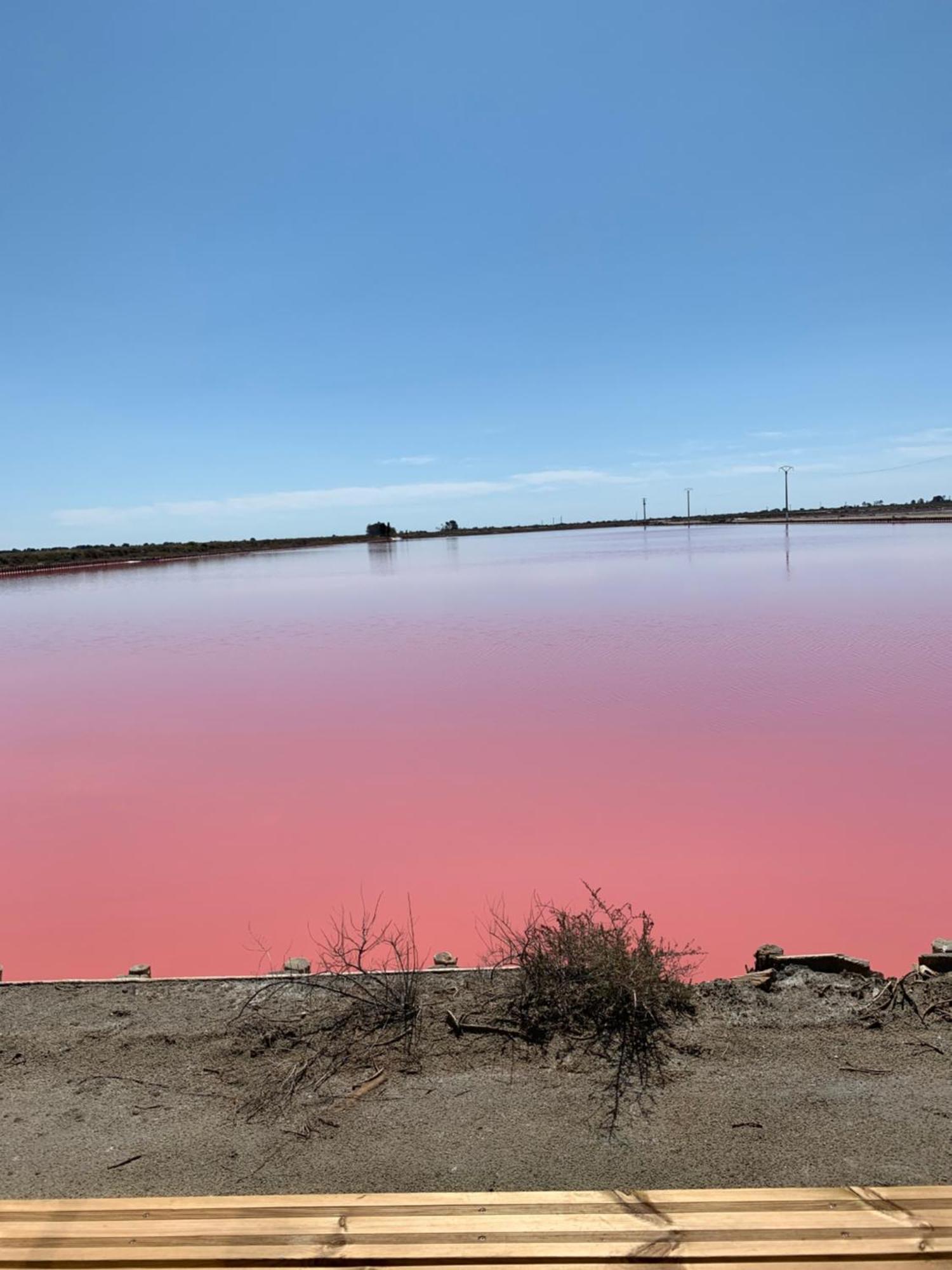 Nuits Salines Aigues-Mortes Esterno foto